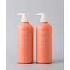 Hairplus Protein Bond Modern Peach Treatment 700ml 2 Pack