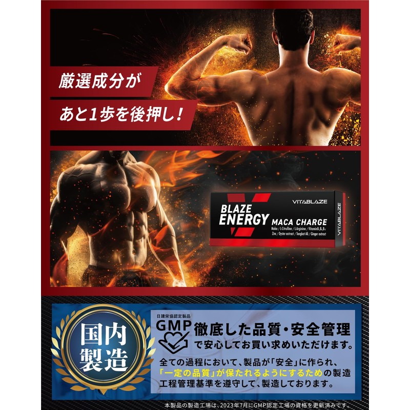 【厳選マカ&エネルギーチャージ】BLAZE ENERGY マカ チャージ 90日分 亜鉛 シトルリン アルギニン トンカットアリ 高麗人参