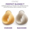 COLOR.IT by BM Perfect Blonde Bleaching Powder 500 g, Professional