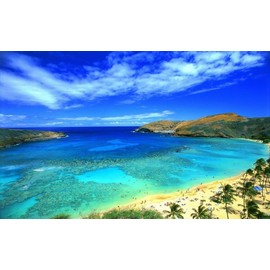 Painting Style Wallpaper Poster (Removable Sticker) Hawaii Oahu Hanauma Bay Beach Resort Sea Caracro HWI-024W1 (Wide Edition, 36.2 x 22.6 inches (921 x 576 mm), Architectural Wallpaper + Weather