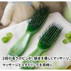 18131A Hair Brush, Scalp Massage Brush & Styling, Glossy, Argan