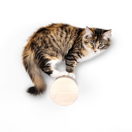 Ascentials by FurHaven Milestone Post – Modern Wall-Mounted Cat Climber & Perch for Scratching, Playing, and Lounging