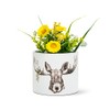Abbott Collection 27-PL-CN-04-SM Small Forest Prince Moose Planter, White/Black