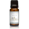 Barnhouse Blue Vanilla Premium Grade Fragrance Oils - for Candle,