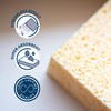 Sorbo Large Viscose Sponge, High Quality, Streak Free Results, Absorbs
