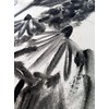 Polvo de carbón premium para dibujo y arte