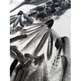 Polvo de carbón premium para dibujo y arte