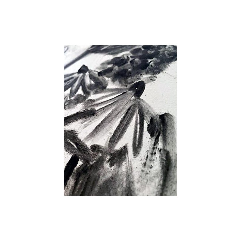 Polvo de carbón premium para dibujo y arte