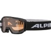 ALPINA Piney Anti-Fog, Extremely Robust and Shatterproof Ski Goggles with