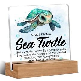 Inspirational Motivational Gifts for Women Men - Turtle Gifts for Turtle Lovers - Sea Turtle Clear Desk Decorative Sign Home Decor Ocean Turtle Acrylic Sign