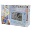 ALIAS AC21044SXSG Alarm Clock, Sumikkogurashi, Digital, Large Radio Alarm Clock,