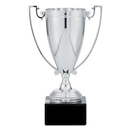SHOP AWARDS AND GIFTS 8-1/4 Inch Trophy Silver Cup on Black Marble Base