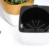 IMIKEYA Water Level Indicator Plants 22 cm, Water Level Indicator