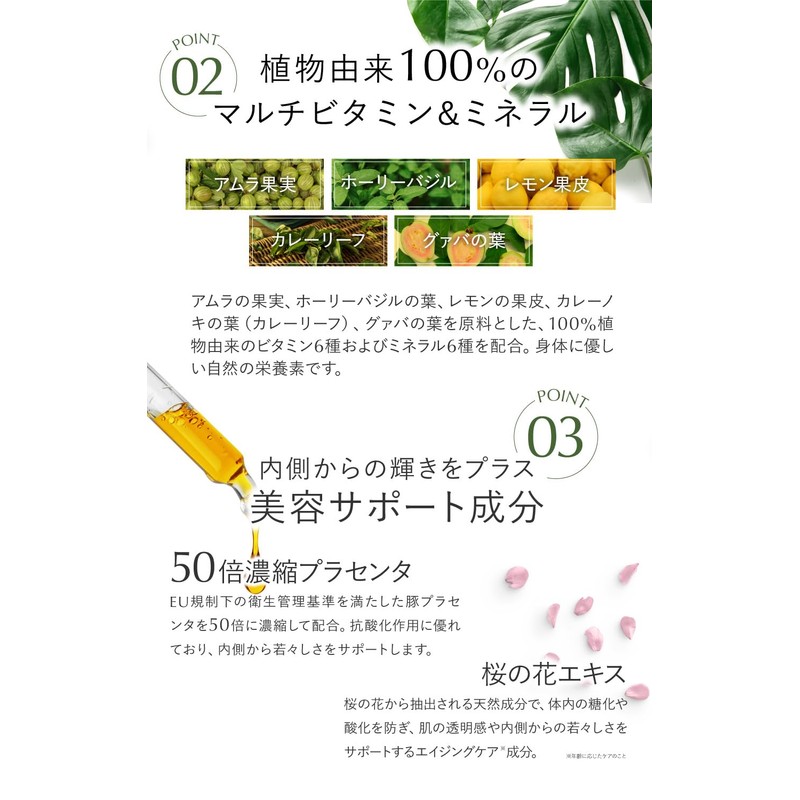 ビタミンC マルチビタミン プラセンタ 高濃度1000mgタイムリリースｘリポソーム 200mgｘ90粒入り（PURE HADA） 3個セット