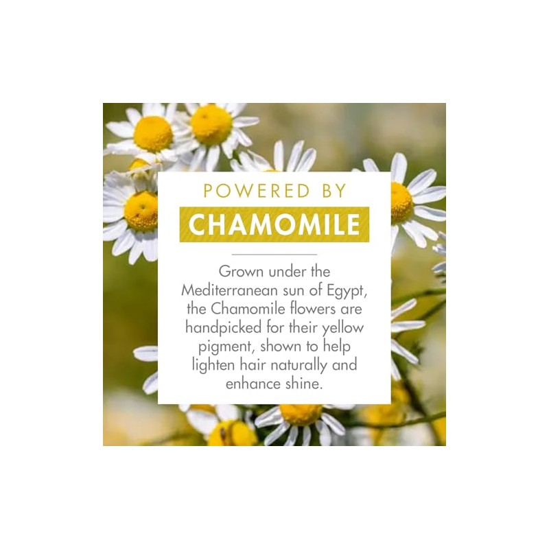 Chamomile Shampoo Cleanses and Brightens to 400 mlChamomile Shampoo Cleanses