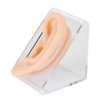 Soft Silicone Ear Model Simulation Ear Acupuncture Practice Model for