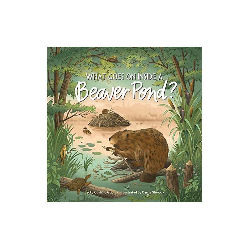 What Goes on inside a Beaver Pond?