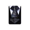 Hisdern TP-01S Men’s Paisley Pattern Necktie and Square Set, Business,