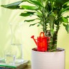 Scheurich Nelly M Plastic Water Reservoir, Colour: Nelly M, Red,