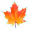 Eureka Photo Image of A Fall Leaf, 5" Paper Cut-Outs,