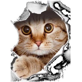 Toilettensitzbezug Aufkleber - 3D Katze Aufkleber, Niedliche Katze Dekorationen Benutzerdefinierte Toilettensitzbezug Thema Wand Aufkleber Aufkleber Badezimmer Wandkunst Dekoration
