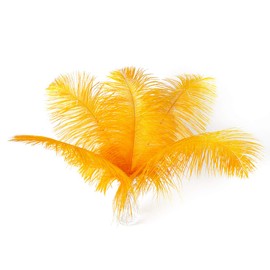 24pcs Natural Luxury Gold Ostrich Feathers 10-12inch (25-30cm) for Wedding Party Centerpieces，Flower Arrangement and Home Decoration.