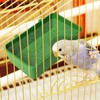 2 PCS Cage Bird Bathtub - ABS Bird Bathtub, Parrot