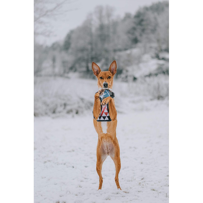 Embark Urban Dog Harness, Easy On and Off with Front