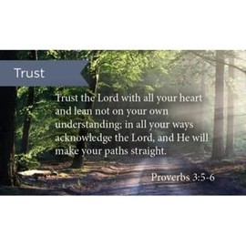 Pass It On Scripture Cards, Trust In The Lord, Proverbs 3:56, Pack of 25 Inspirational Bible Verse Wallet Cards for Devotional, Bible Study, & Memorization, Small Christian Greetings for Encouragement