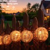 Decorative String Lights Plug in with 10 Incandescent Bulbs, Natural