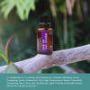 Nature's Fusions Eye of The Storm, 100% Pure and Natural