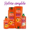 Garnier Fructis Shampoo 2 e n1 Borrador de Dano Largo