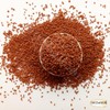Natural Garden Cress Halim Herbal Dried Herb Egyptian Spices Herbs