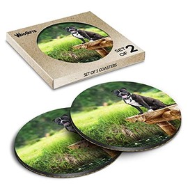 2 x Round Coasters - Happy Staffordshire Bull Terrier Dog Staffy Cork Backed MDF Glossy Tea Coffee Accessory #51137