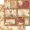 Graphic 45 Autumn Greetings Paper Pack and Patterns & Solids