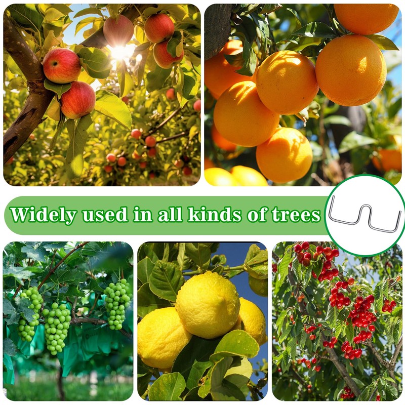 YeahBoom 22 pieces 10 cm branch support for fruit trees,