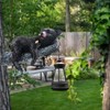 MHLLGN Solar Black Bear Tree Hugger for Outside, Animal Garden