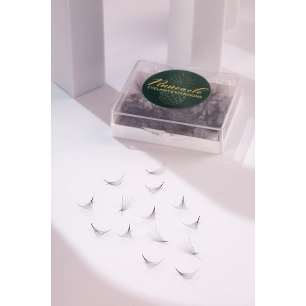 500 Fans | Eyelash Extensions Supply | Premium Premade Promade