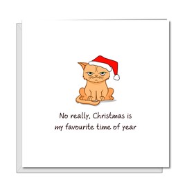 SWIZZOO Funny Grumpy Grinch Cat - Funny Christmas Card 2023, Funny Christmas Gifts - Funny Messages for Husband, Wife, Mum, Boyfriend, Sister, Son & Daughter-in-Law, Christmas Cards for Family