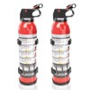 DRY Fire Extinguishers 2pcs