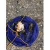 Children's Crab Fishing Drop Net, 10m line, Blue and Pink.