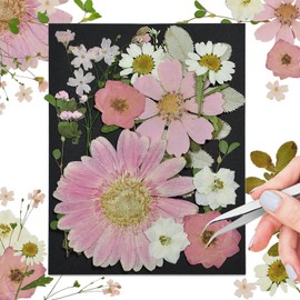 CONVELIFE Pink Dried Pressed Flowers, Real Nature Flowers with Tweezers, Pressed Flowers for Resin DIY Jewelry Candle Soap Vase Making Nail Card Scrapbook Art Craft Floral Decors