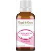 Geranium Bourbon Essential Oil 1 oz / 30 ml 100%