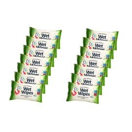 Compact Pocket-Sized Wet Wipes for Skin and Hands, 210 Wipes (14 Pack) – Practical for Bag, Ideal for Travel,School, Office Use