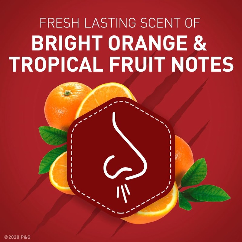 Old Spice Wild Collection Wolfthorn Scent Men's Invisible Solid Antiperspirant