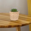 ABOOFAN 6pcs Mini Woven, Miniature Flower Woodchip Easter Egg Small