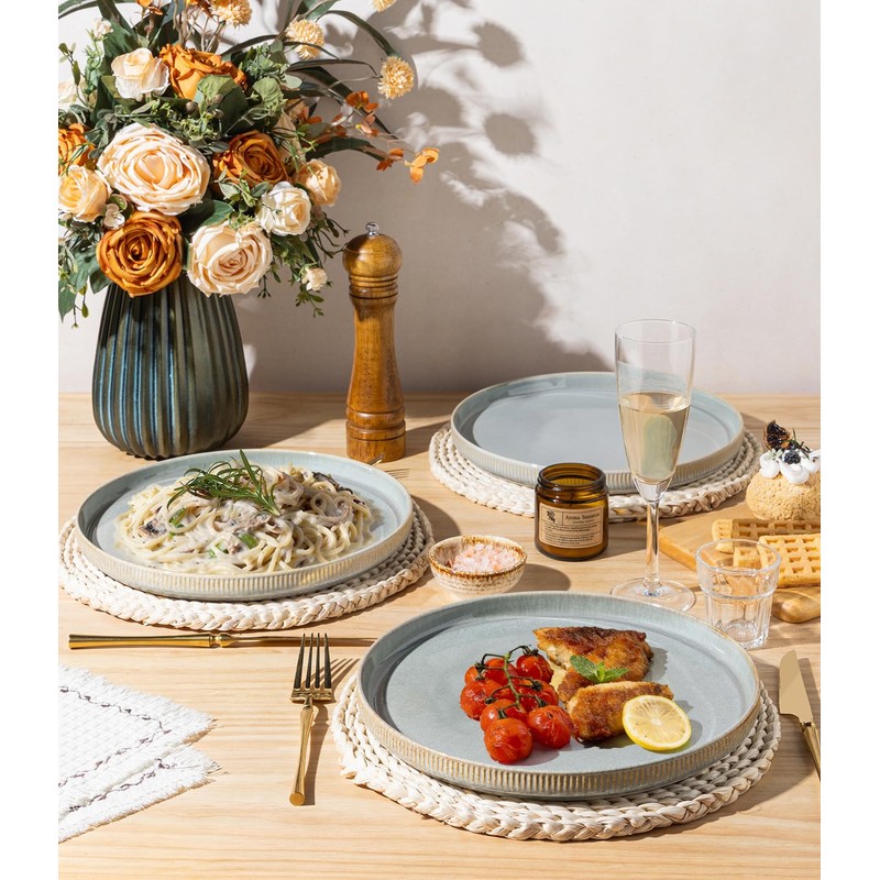 theterra Dinner Plates Set of 6, 10.25 Inch Ceramic Dinner