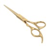 Hair Cutting Shears Stainless Steel Incisive Curved Handle Hairdressing Scissors