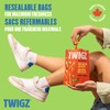 TWIGZ Craft Pretzel Sticks - Zesty Dill Flavor | Pack