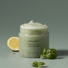 Aromatica Sugar Body Scrub Basil Bergamot 250g / 아로마티카 슈가